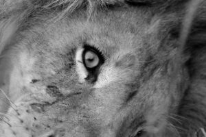 韓国で2人向けのWi-Fiレンタルはどこがおすすめ？