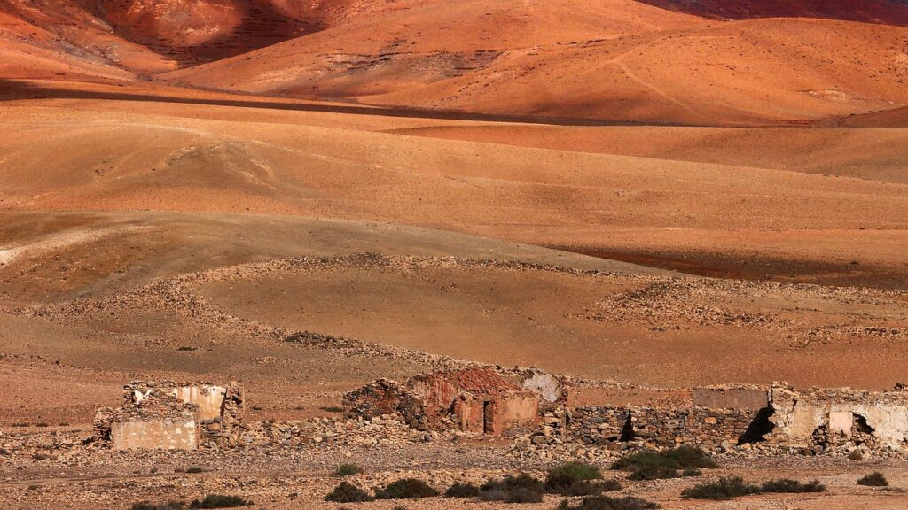 WiFiレンタルの延長プランはどのように利用すれば良いですか？