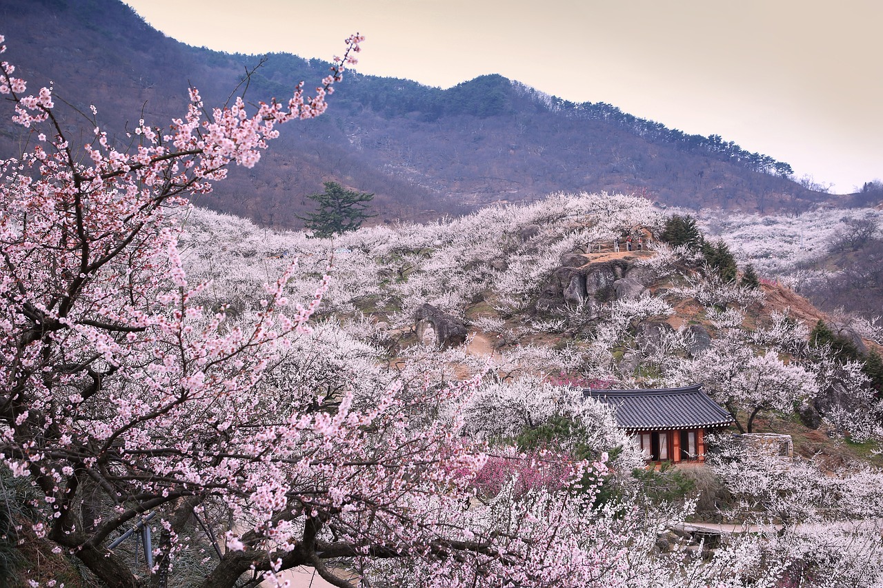 韓国でのWiFiレンタルにおすすめのサービスは？