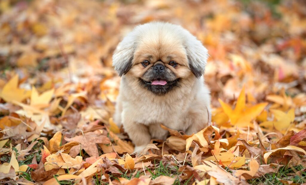 バリ島で安いWiFiレンタルを利用するメリットは？