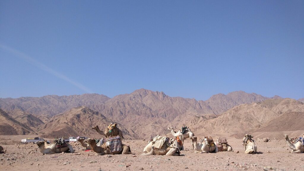 海外WiFiレンタルにおすすめの会社はどこですか？