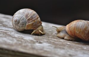 レンタルWiFiを複数台同時に使うメリットは？