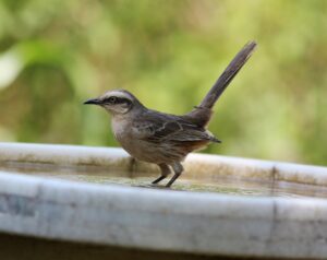 アフターピルをおすすめしないクリニックの特徴とは？